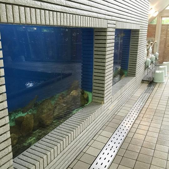 Kankoso Katashina Esterno foto