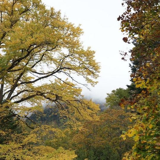 Kankoso Katashina Esterno foto